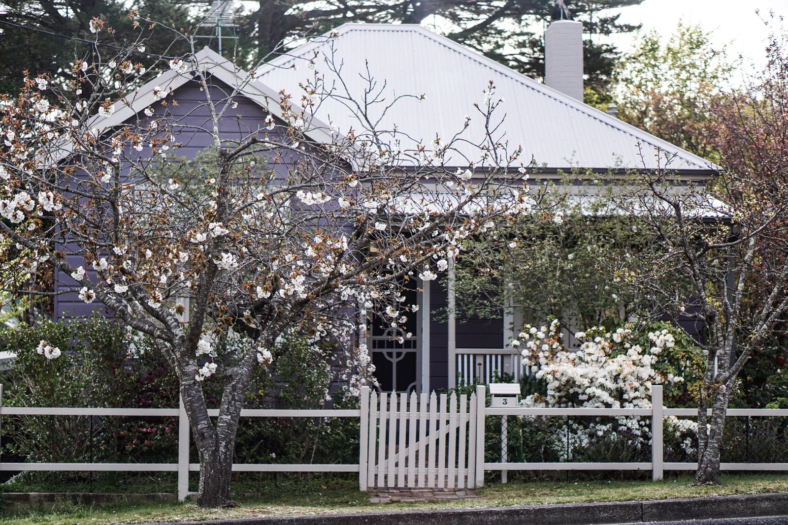 A charming Australian weatherboard cottage